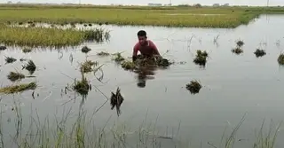 বিপৎসীমার ওপরে নেত্রকোণায় ভুগাই-কংশ নদীর পানি